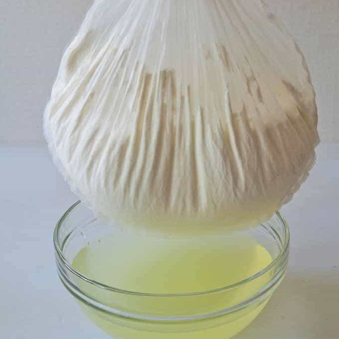 A Yogurt Bag as a Cheesecloth Alternative for Making Greek Yogurt