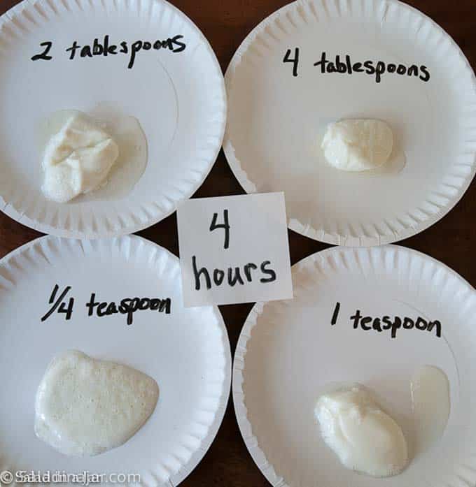 comparing yogurt after 4 hours of incubation