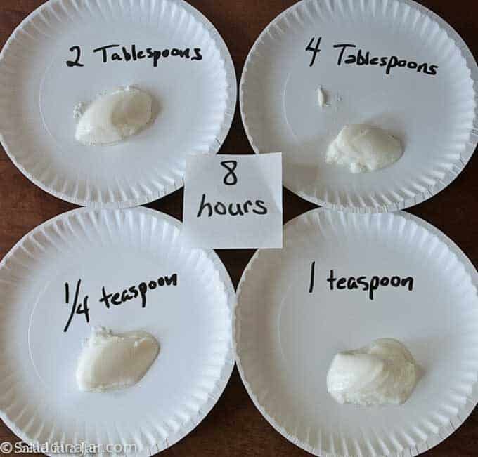 comparison of yogurt after 8 hours of incubation