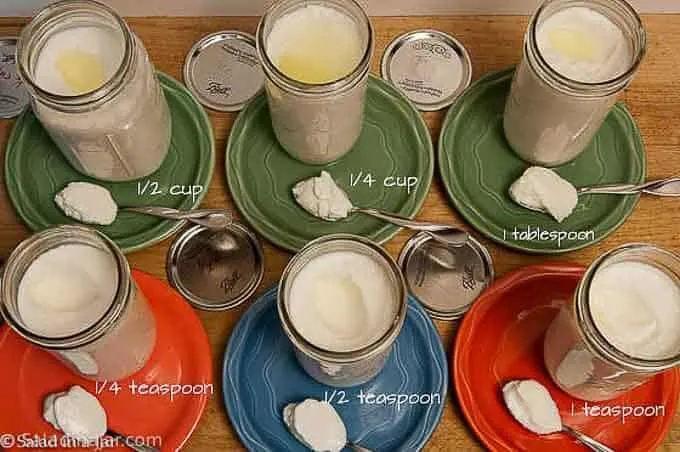 How Much Yogurt Starter Should You Use To Make Yogurt