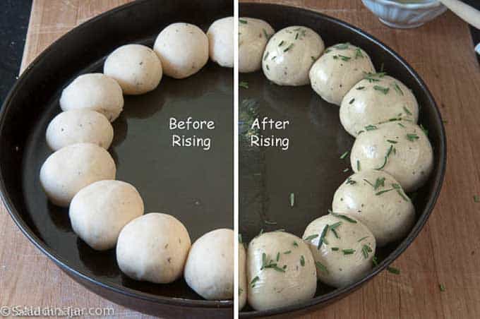 ring of dough balls before and after rising