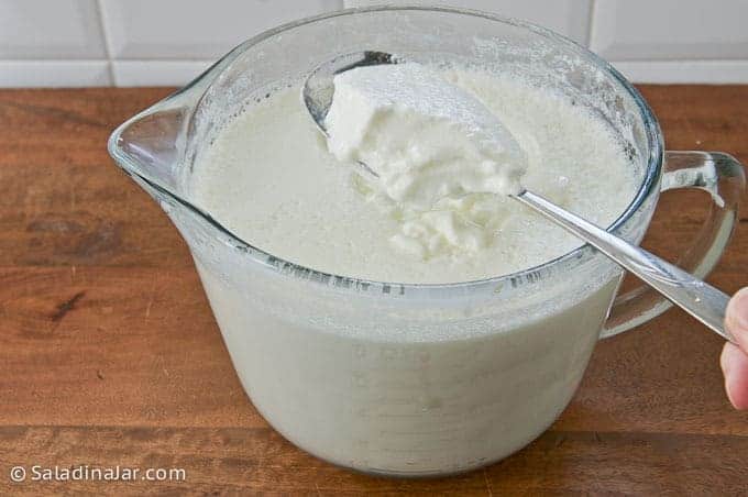 Make greek yogurt in yogurt clearance maker