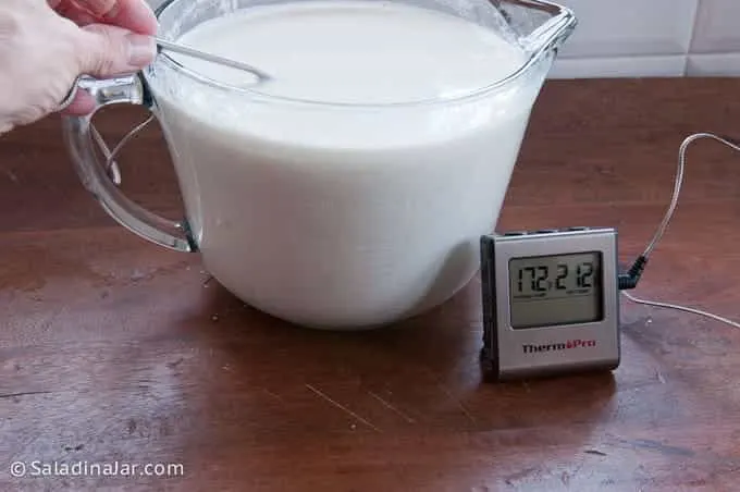 How To Make Greek Yogurt You Will Dream About Video