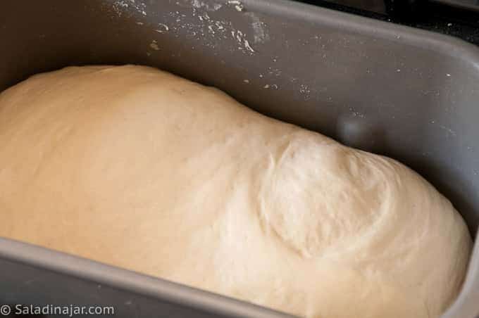 risen dough in bread maker machine pan
