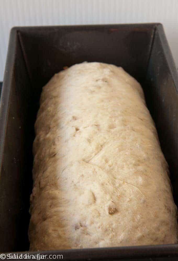 dough in pan before rising