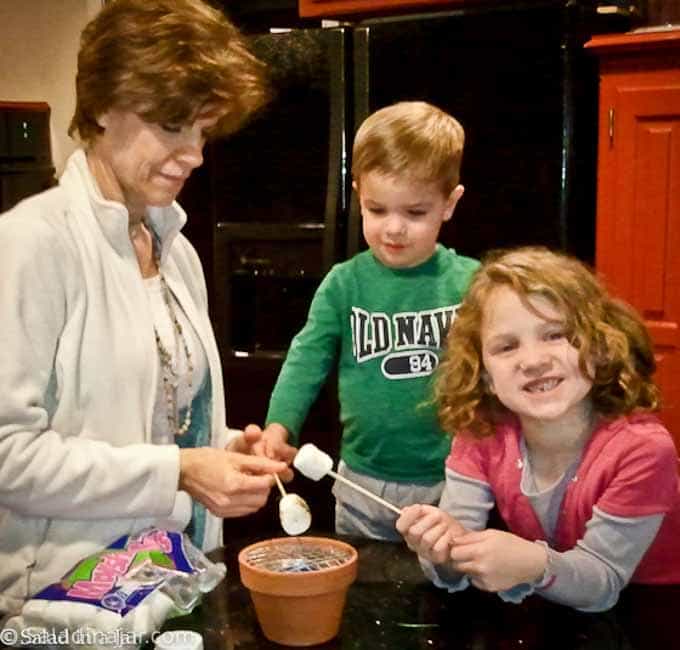 kids making Smores with adult supervision