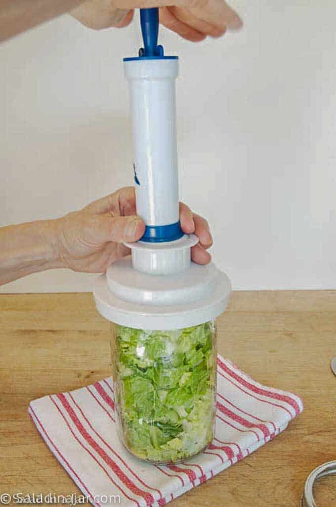 hand pump food sealer