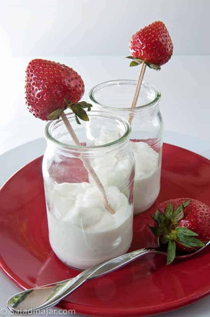 https://saladinajar.com/wp-content/uploads/2019/08/yogurt-from-raw-milk-11.jpg