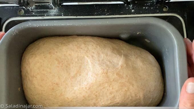 At the end of the DOUGH cyc.e the dough should be double the original size as shown here.