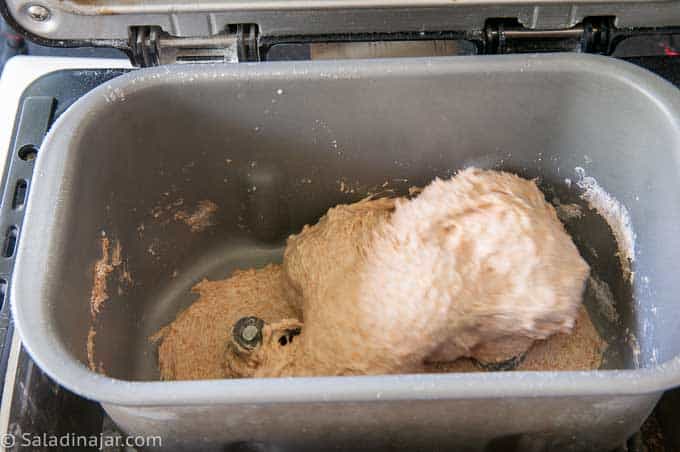 checking texture of the wheat dough as it mixes