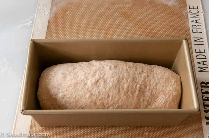 shaped loaf in the pan.