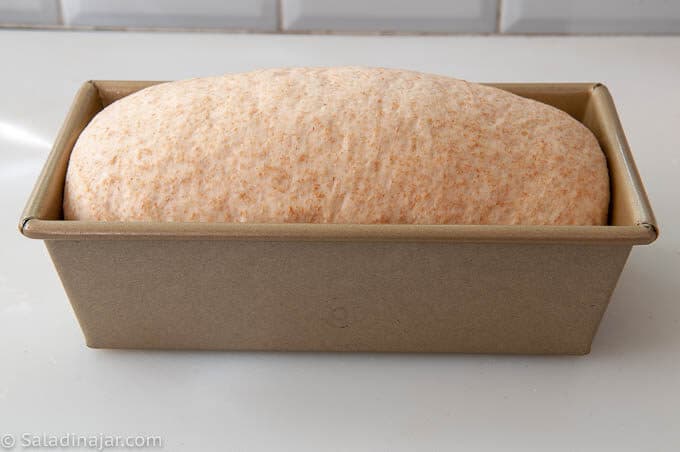 The loaf is about an inch over the side--ready to bake.