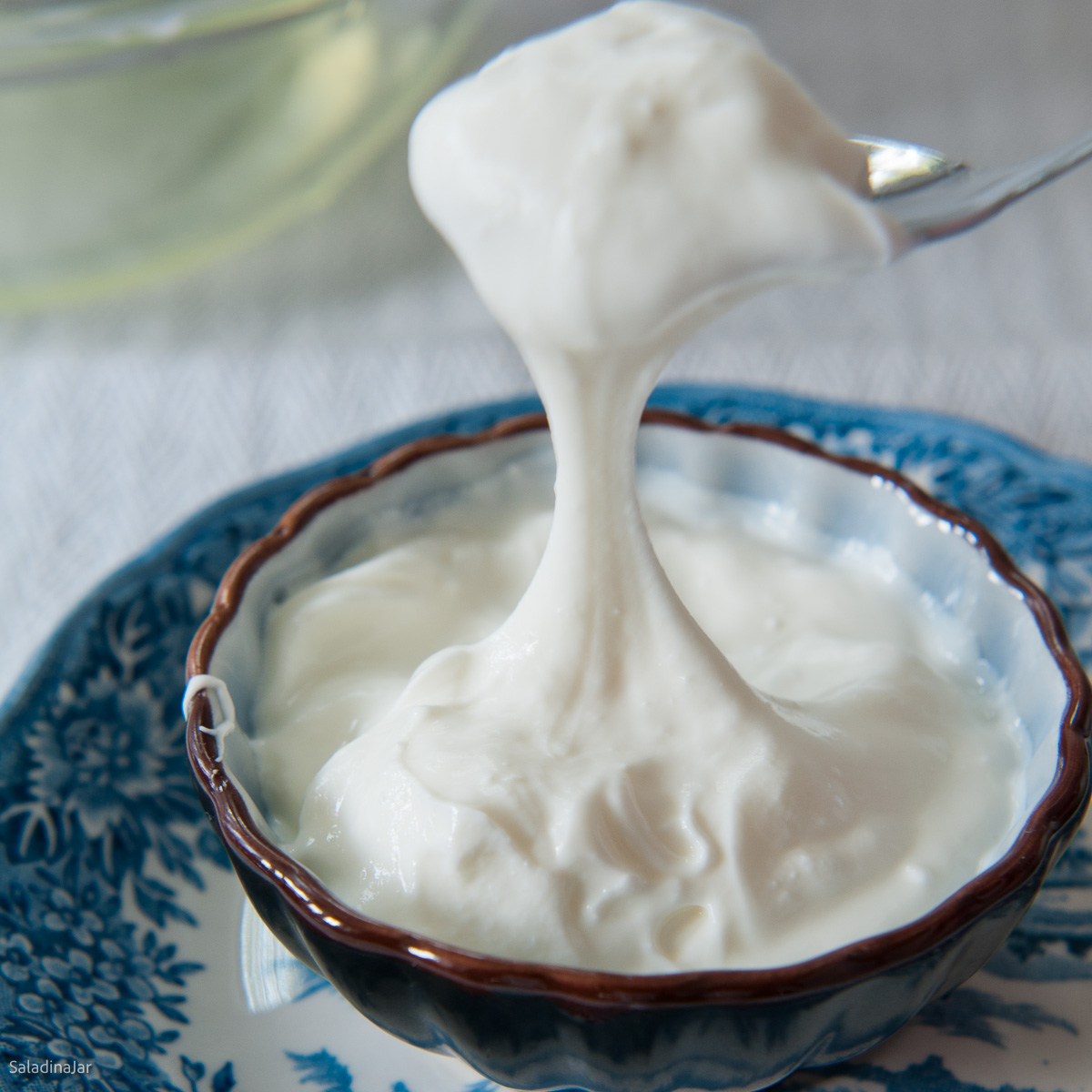 Why is My Homemade Yogurt Slimy?