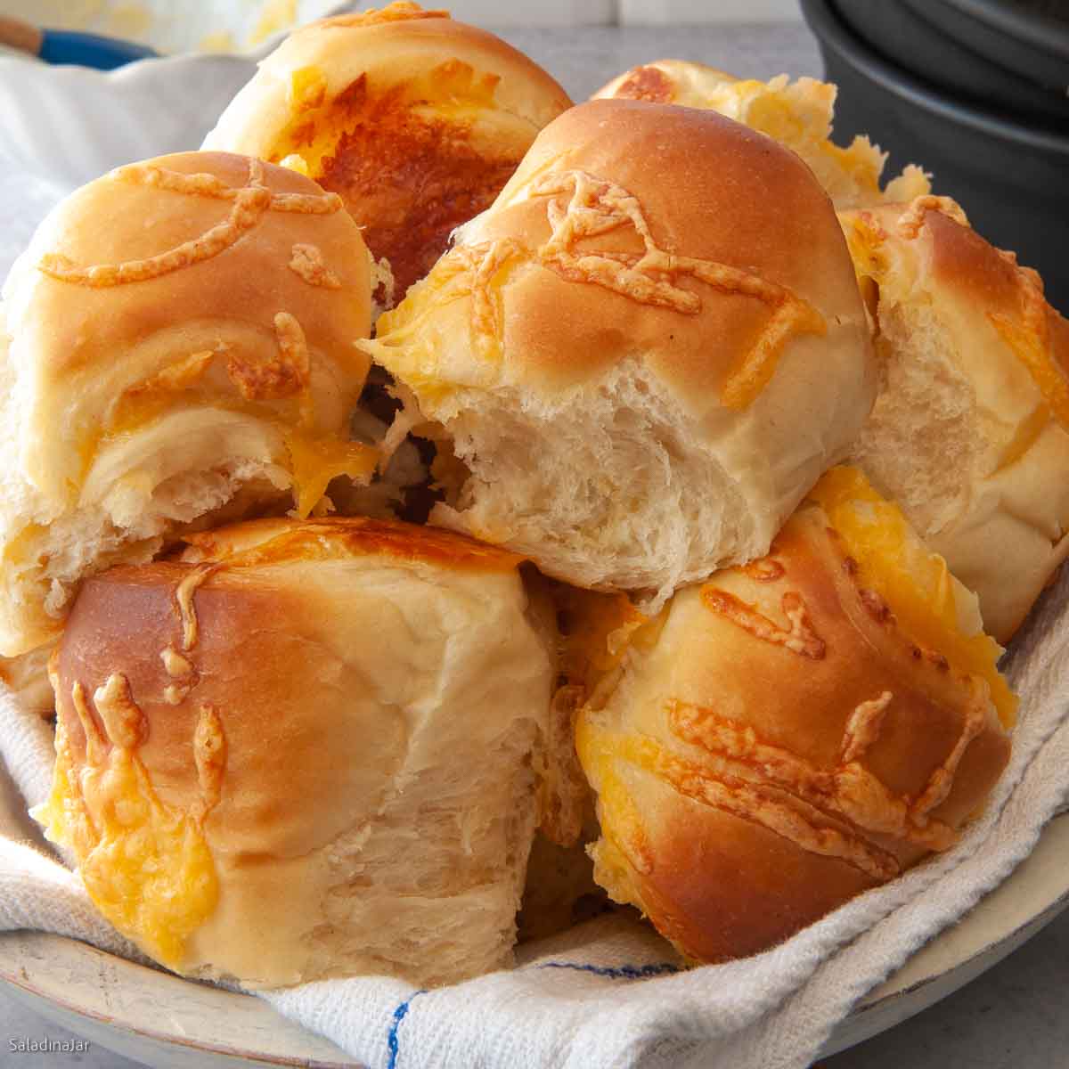 Cheddar Cheese Dinner rolls--still in the pan