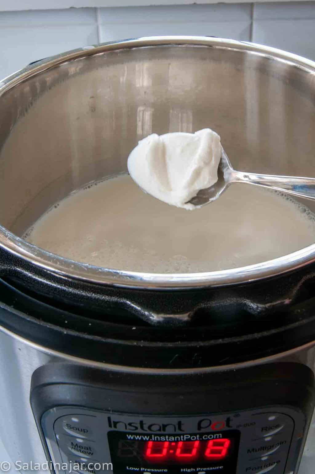 Instant Pot Yogurt (Sous Vide or Yogurt Mode)