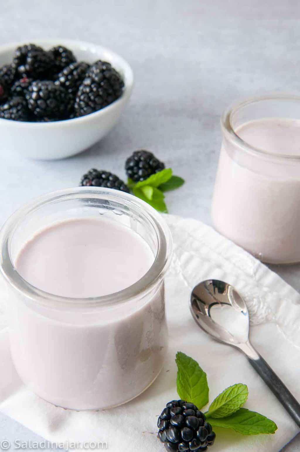 cold-start yogurt in jars with blackberries and mint