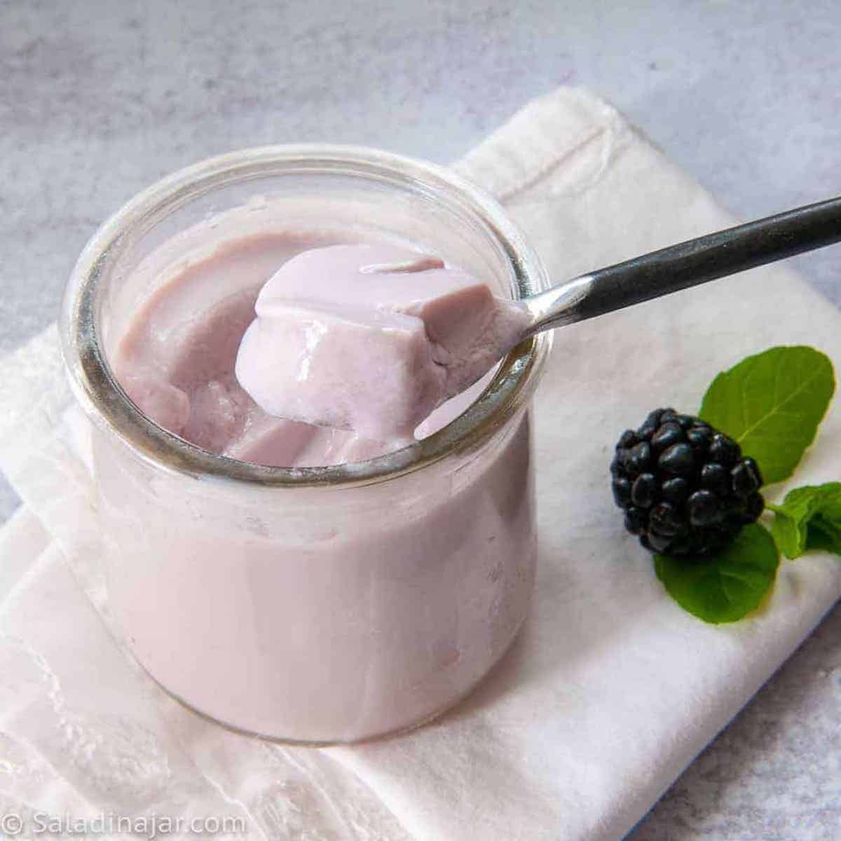blackberry cold start yogurt with a spoon in it and blackberries on the side.