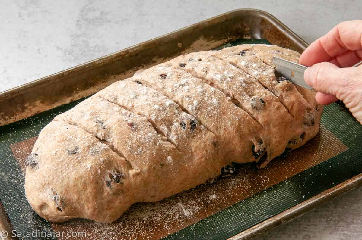 Cranberry Pecan Bread Machine Recipe