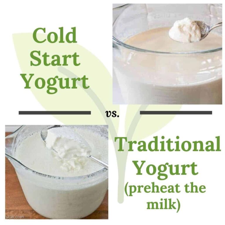 What is the Best Way To Make Yogurt? Cold Start vs. Traditional Method