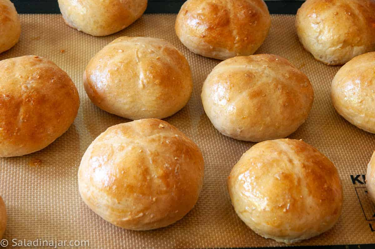 https://saladinajar.com/wp-content/uploads/2020/04/Honey-Oatmeal-Dinner-Rolls-Bread-Machine.jpg