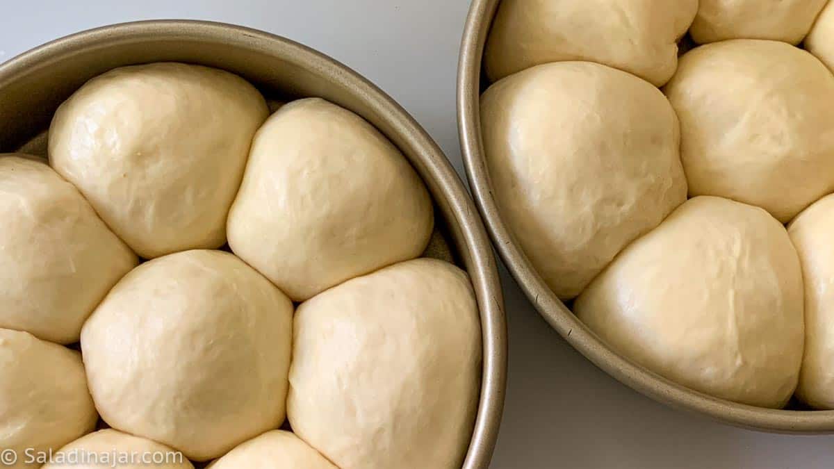 Dough balls after second rise and ready to bake