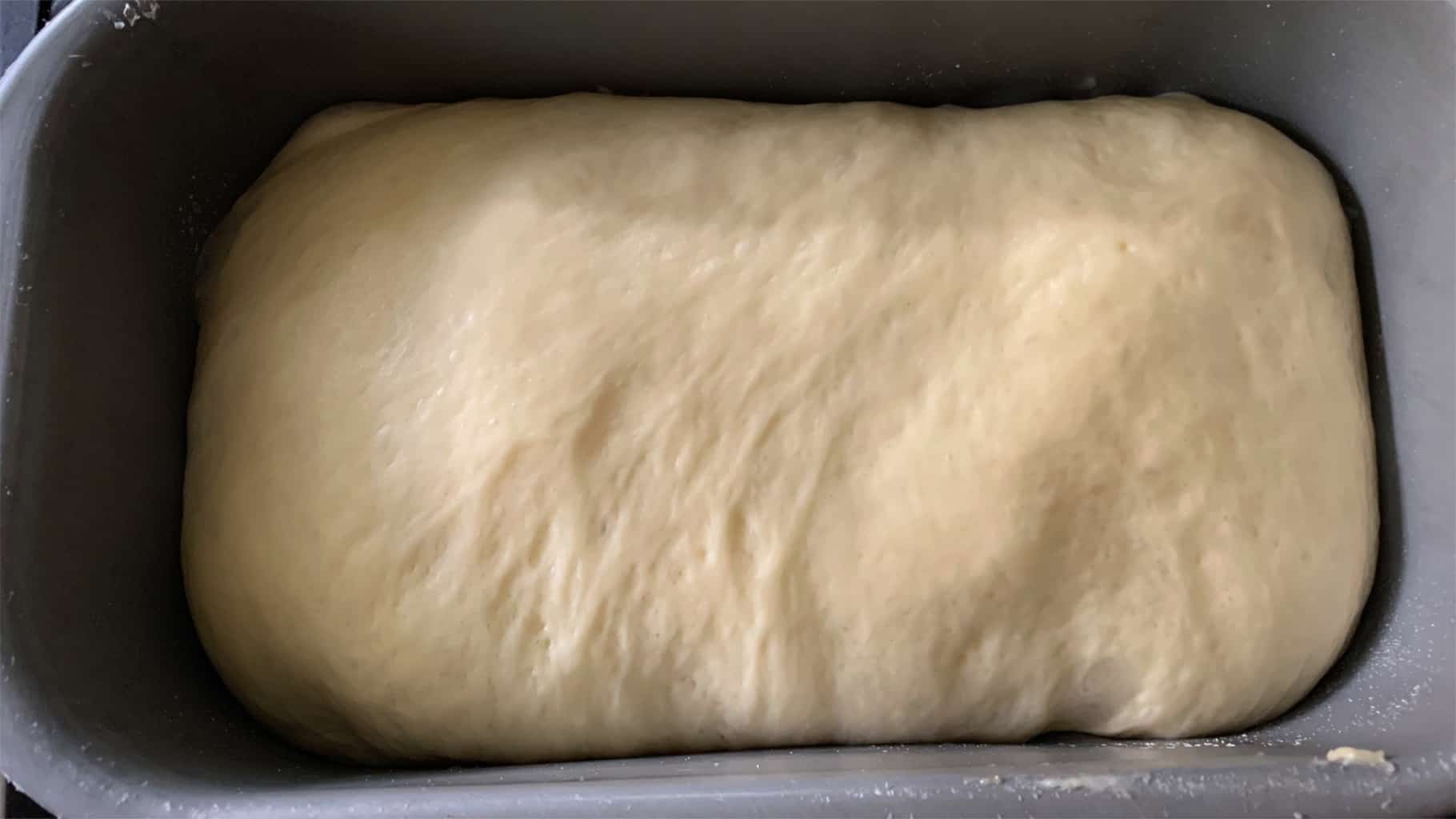 dough in bread machine pan at the end of the DOUGH cycle