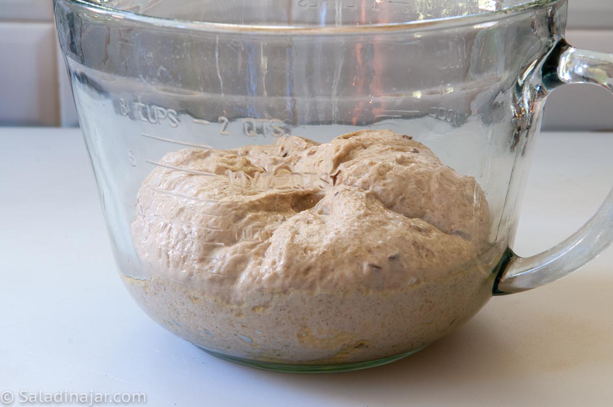 dough in a 2 qt pyrex pitcher during 2nd rise--smooth side is down