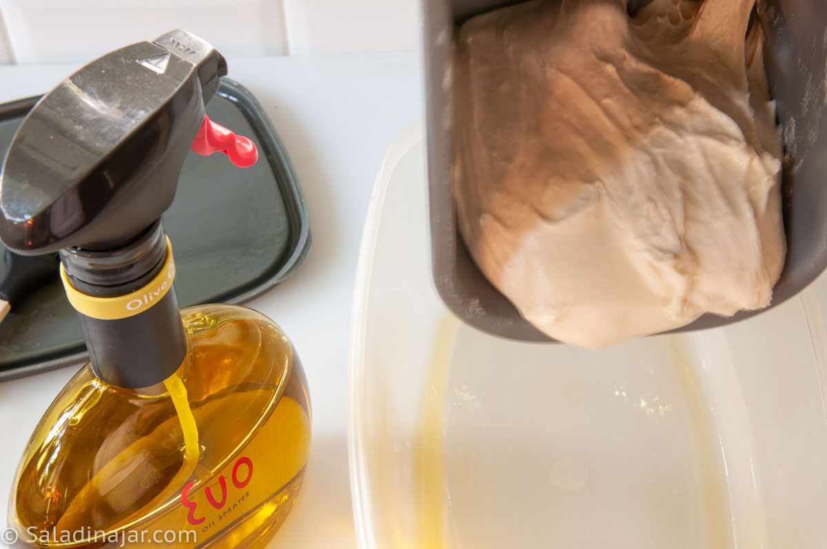 dumping the dough from the bread machine pan to a greased plastic bowl