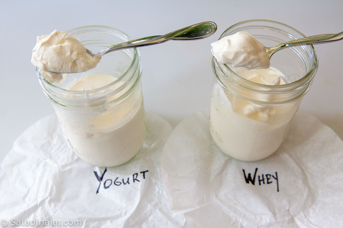 comparing the effect of yogurt vs. whey
