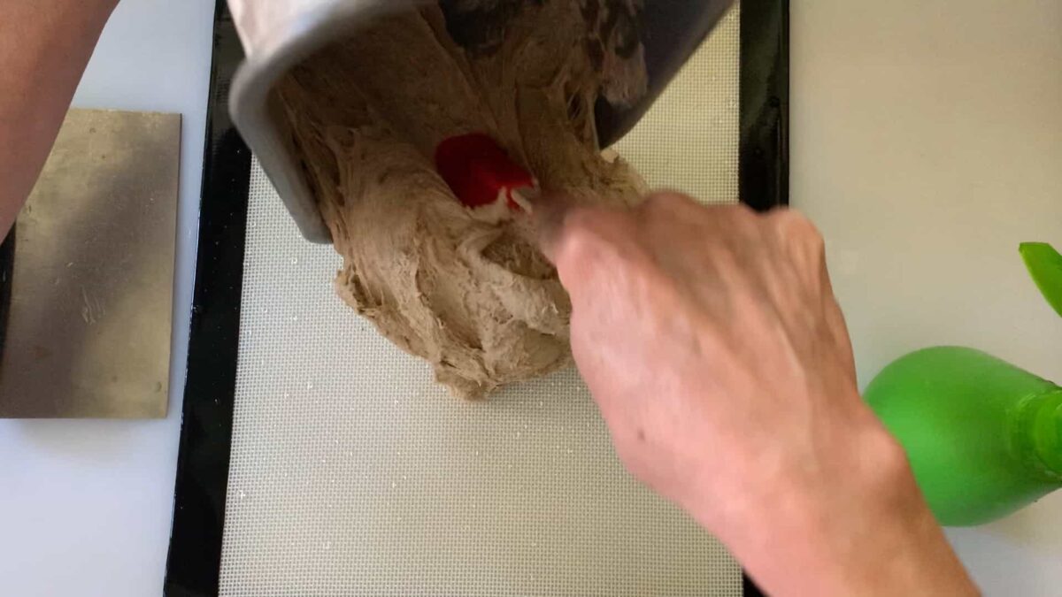 transferring dough from bread machine to the wet work surface