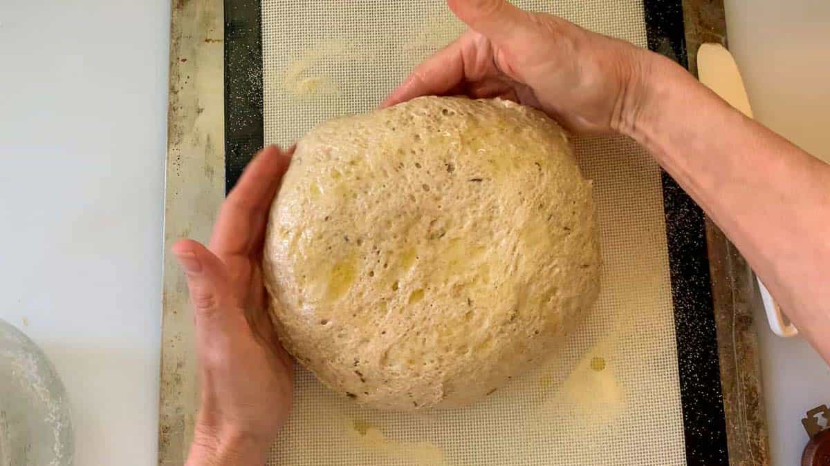 dough after it is turned out of the bowl.