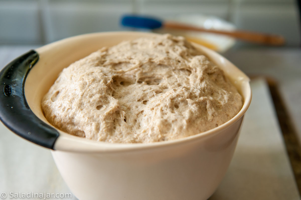 rye bread shown after second rising in a small OXO mixing bowl--done to reduce the possibility of blow-outs