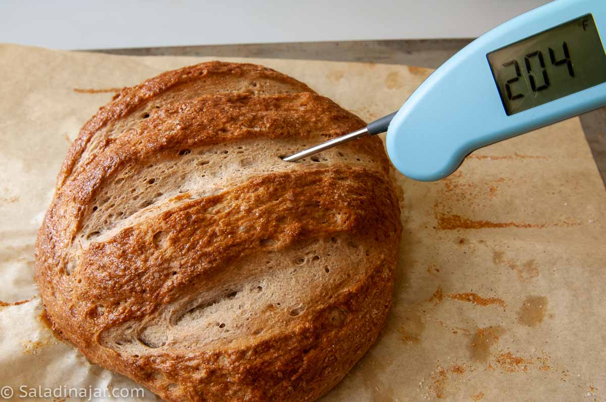 taking the internal temp of bread