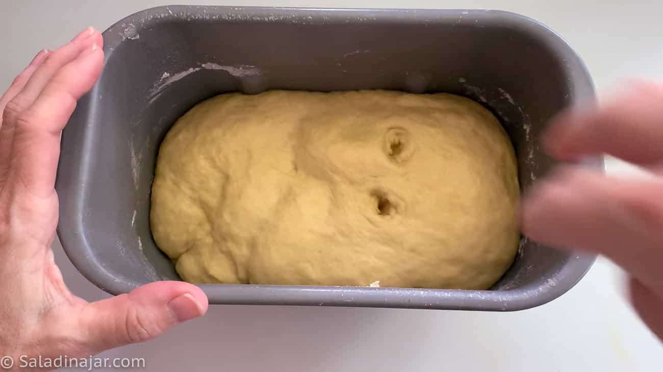 test the dough to see if first rise is finished
