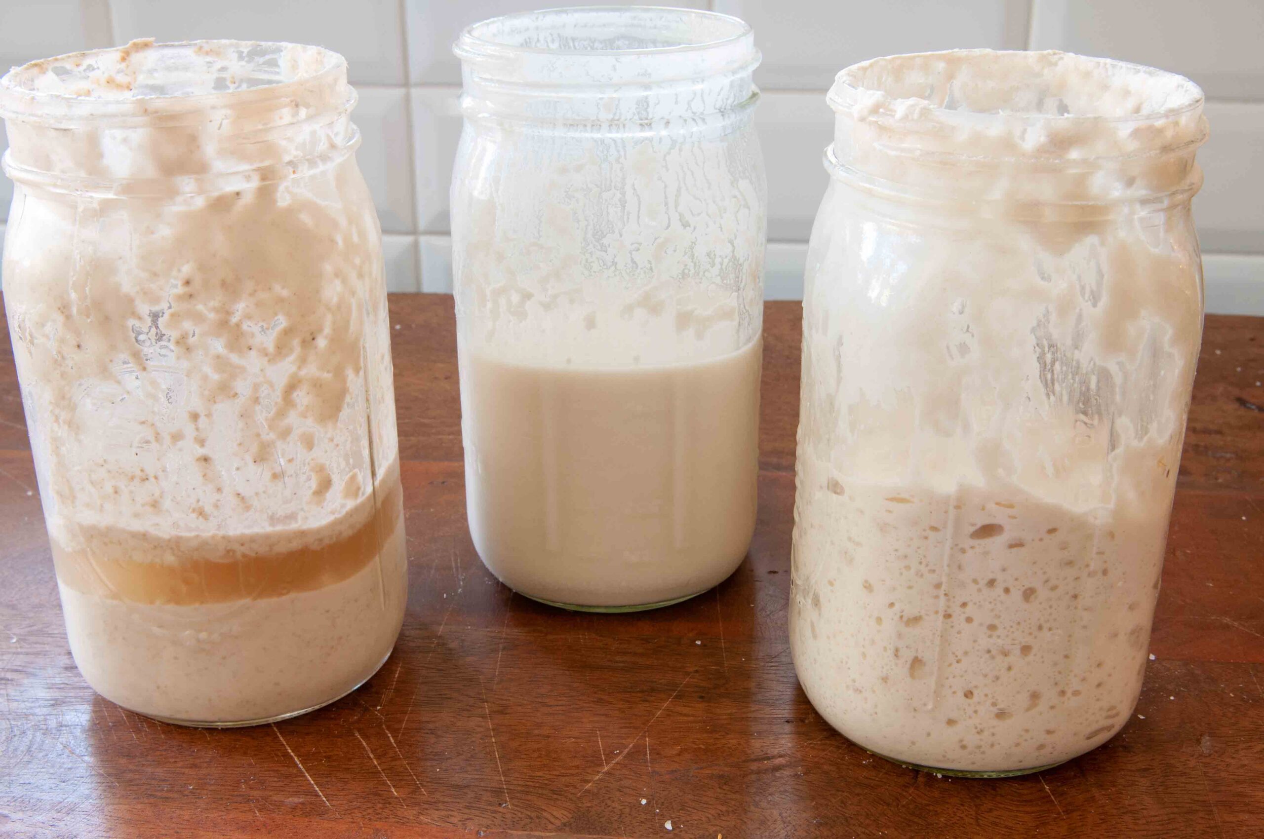 three stages of sourdough starter