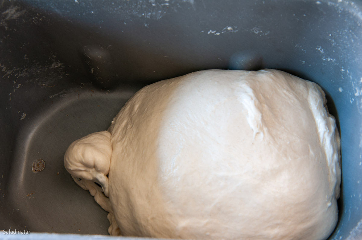 dough after it has been kneaded in bread machine