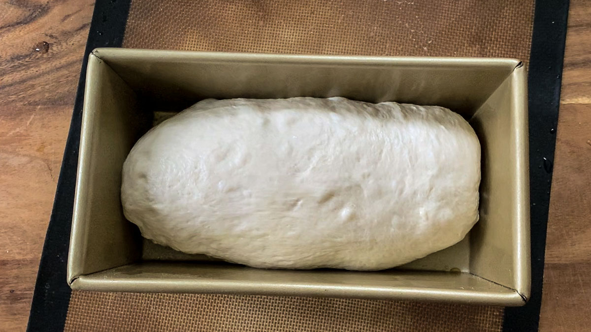 raw loaf in the pan before second rise.