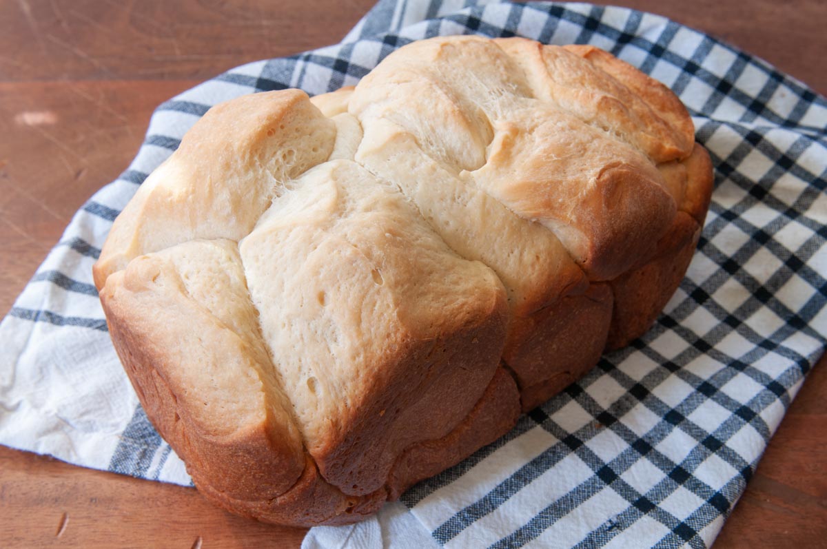 baked bread after removed from the bread machine