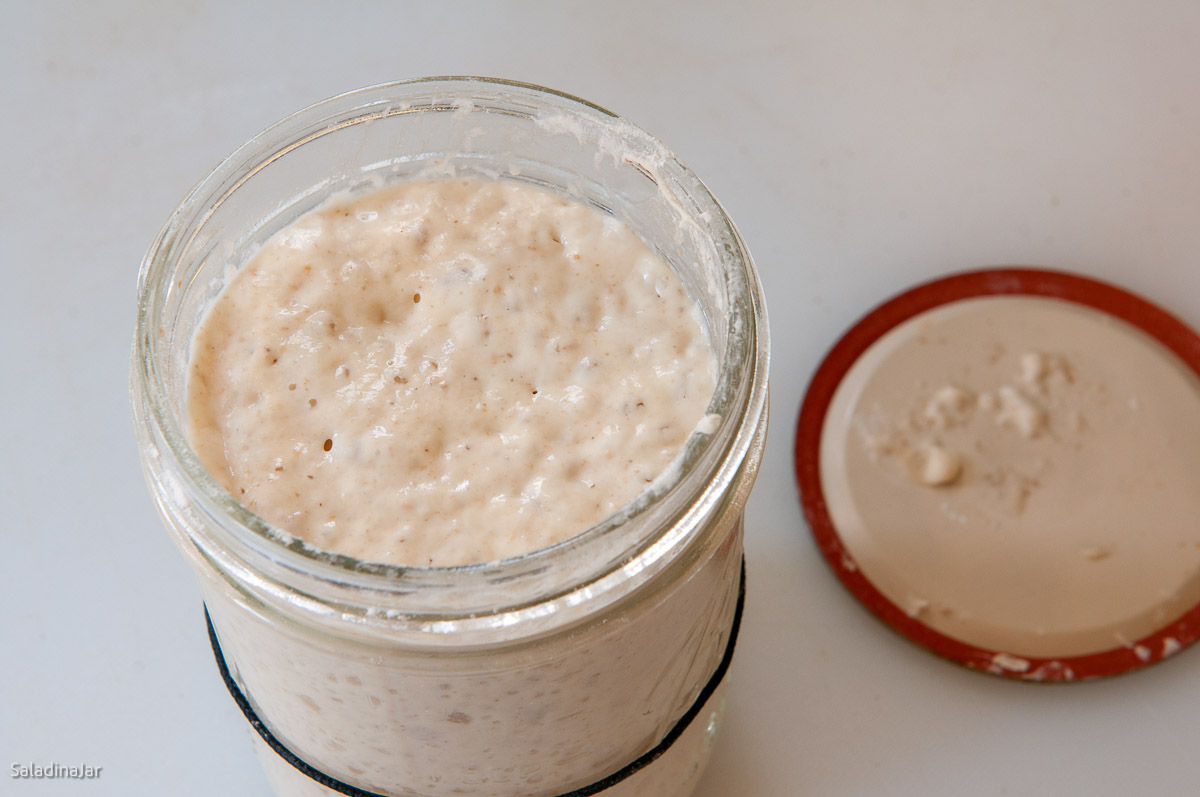 Favorite Bread Machine Sourdough Loaf - Unsophisticook