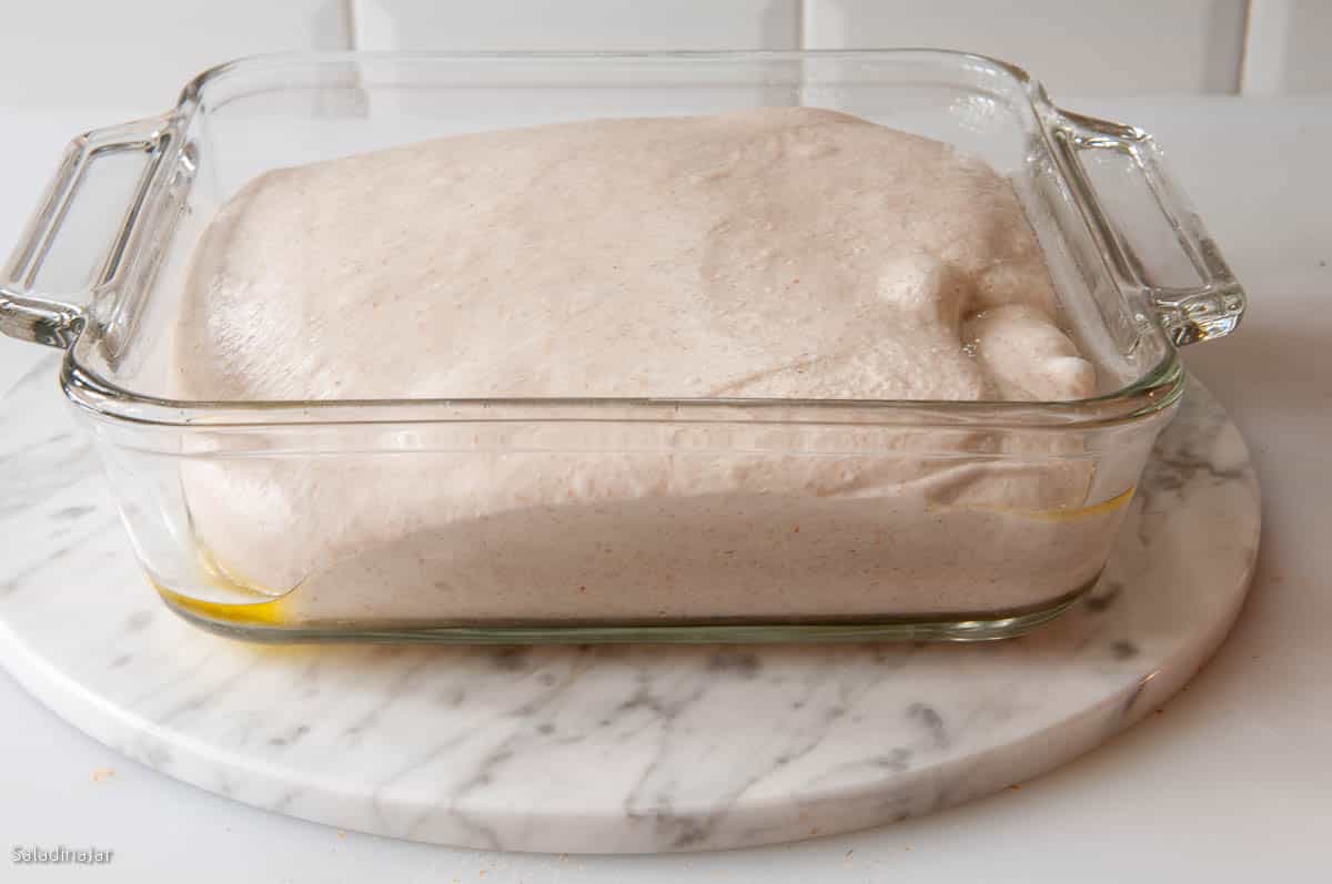 dough at the end of the bulk proof