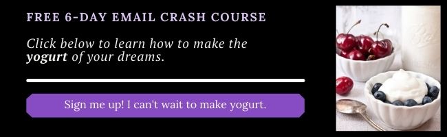 yogurt course