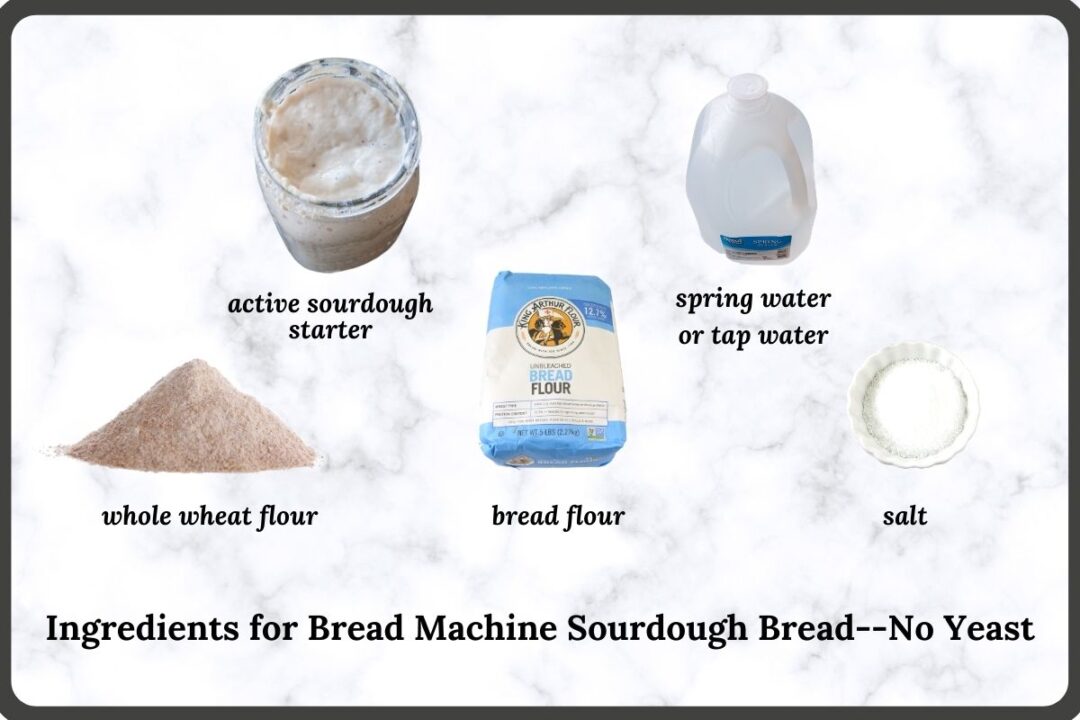 Make Sourdough Bread Without Yeast Using a Bread Machine