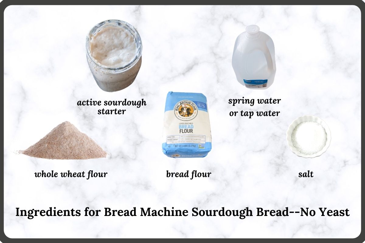 ingredients needed to make this sourdough bread recipe