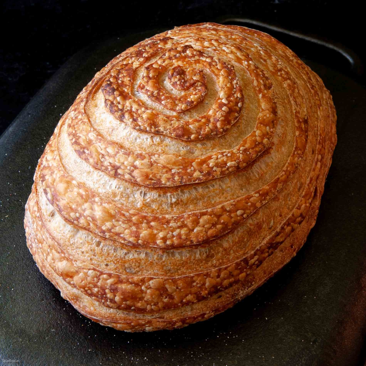 uncut bread machine sourdough loaf with spiral slash