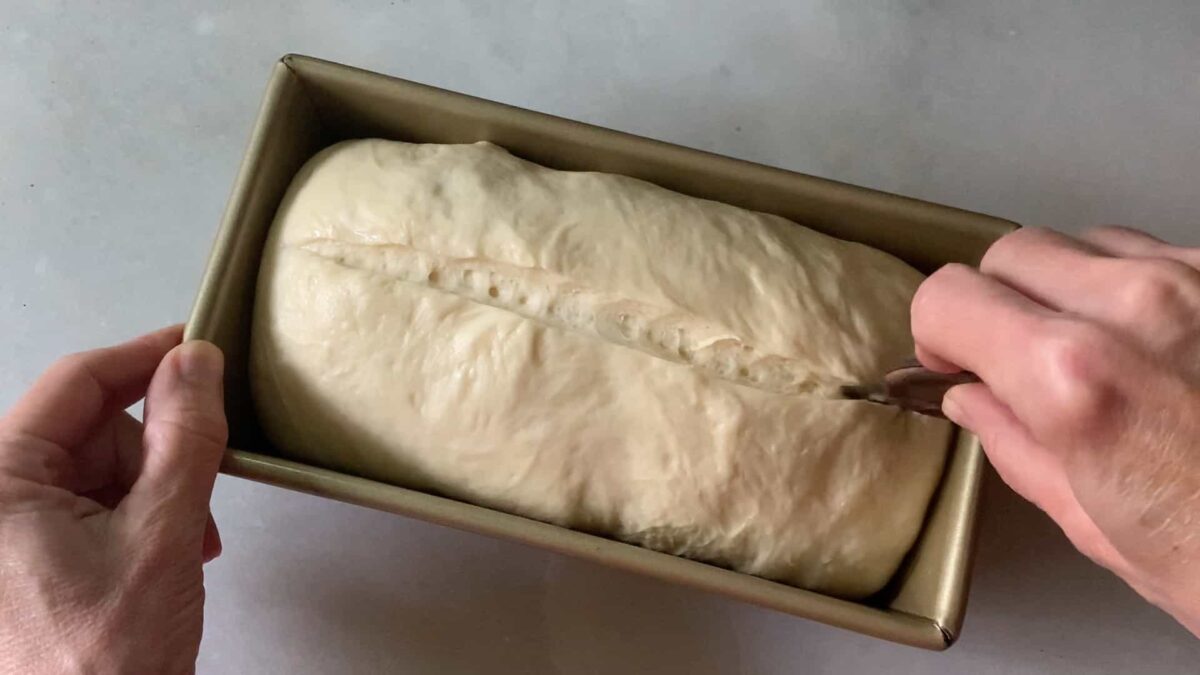Slice the risen loaf down the middle.