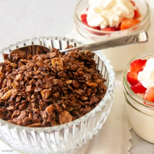 chocolate granola with fruit and yogurt on the side