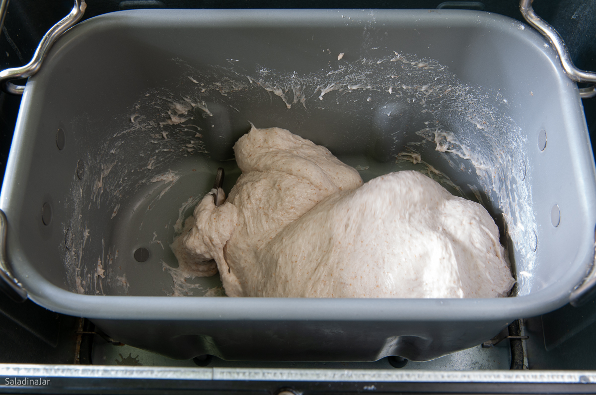 well-developed gluten in a bread machine dough