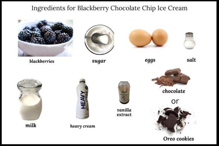 ingredients needed for this blackberry ice cream recipe