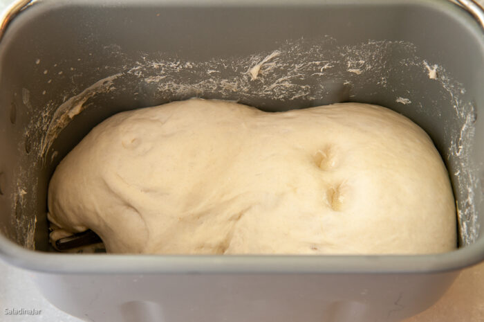 overproofed dough in a bread machine pan. two finger method shows holes that are not filling up