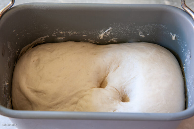Overproofed Dough: How To Avoid a Sunken Loaf in a Bread Machine